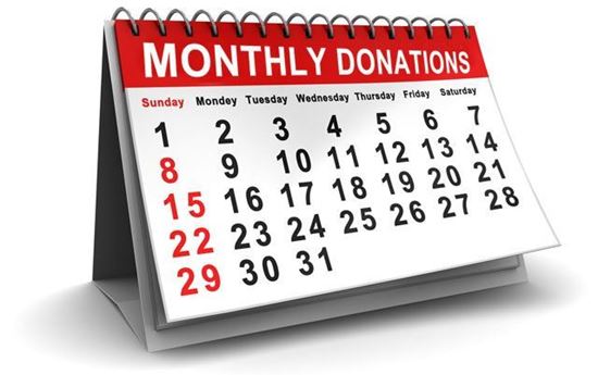 Monthly Donation for one year